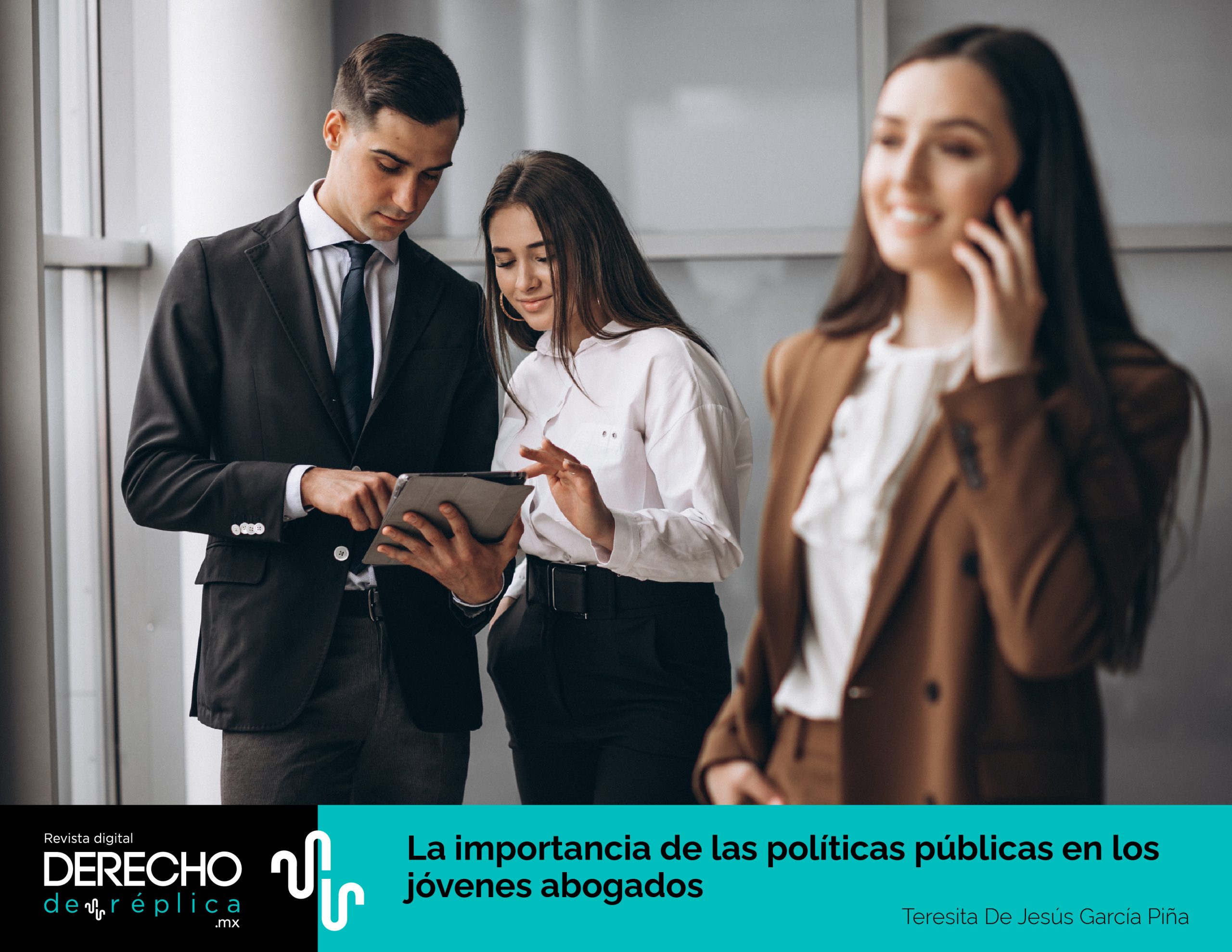 Importancia De Las Políticas Públicas En Los Jóvenes Abogados 2759